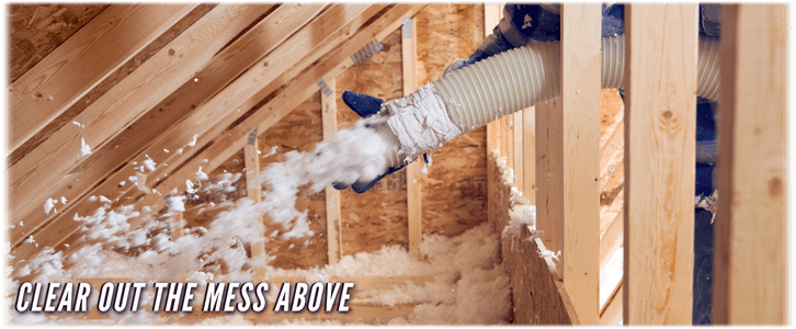 Attic Cleaning Carrollton