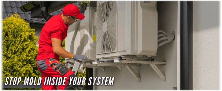 HVAC Mold Removal Carrollton